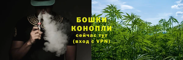 шишки Новозыбков