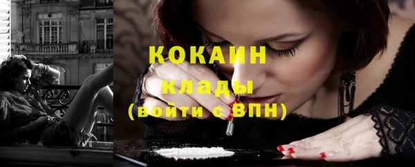 шишки Новозыбков