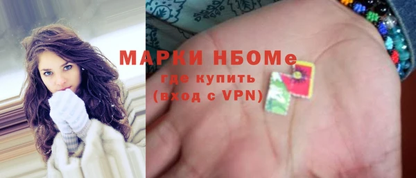 шишки Новозыбков