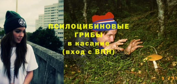 шишки Новозыбков