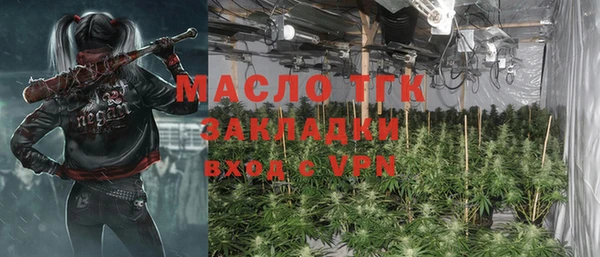 шишки Новозыбков