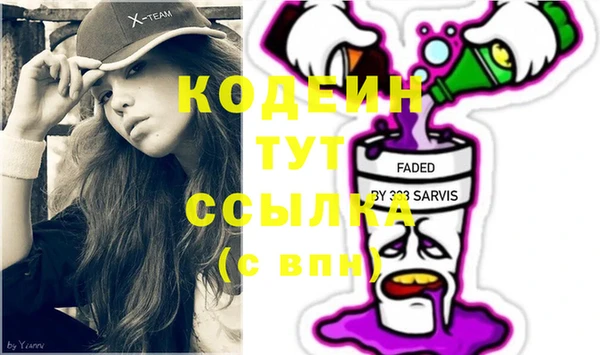 шишки Новозыбков