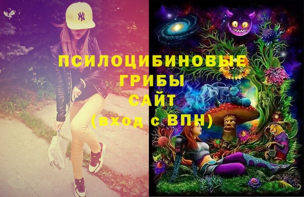 шишки Новозыбков
