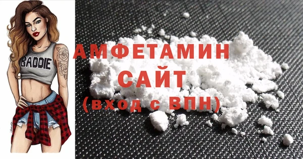шишки Новозыбков
